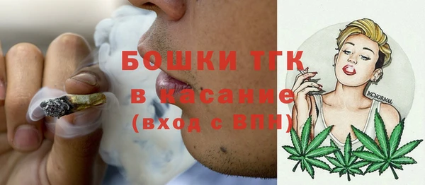 индика Новокубанск